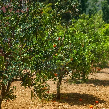 Efrosini Village Hotel 3*