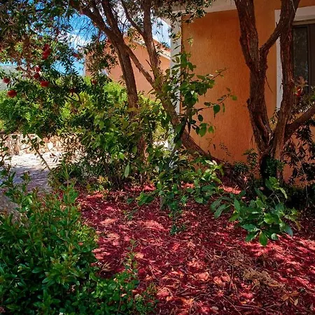Efrosini Village 3* Кателиос