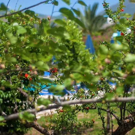 Отель Efrosini Village 3*