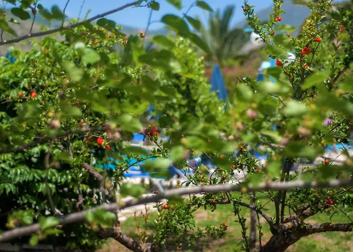 Отель Efrosini Village 3*