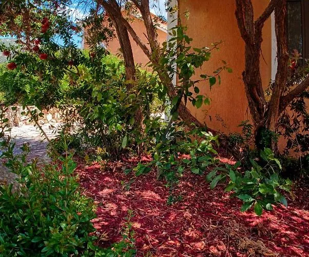 Efrosini Village 3* Кателиос