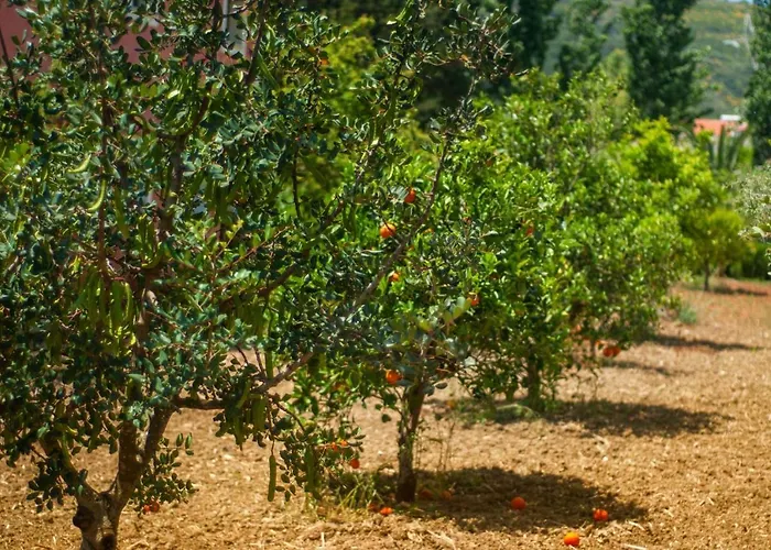 Efrosini Village Отель 3*